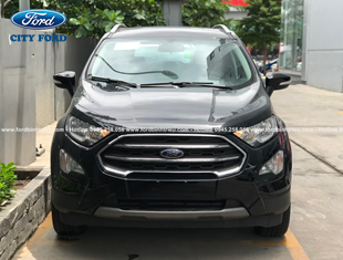 ford ecosport so san 2020 mau den