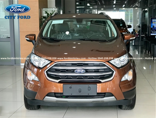 ford ecosport so san 2020 mau do dong